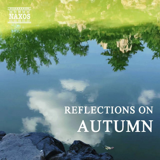 小仙女肏出白浆
